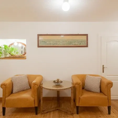 Branko Family Apartment Split
